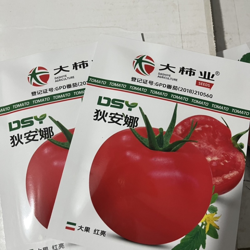 狄安娜番茄种子生长早熟品种口感柿子品种种子