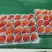 长丰红颜草莓
