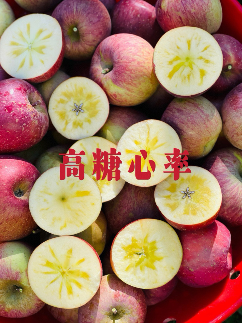 2025季正宗冰糖心丑苹果开始发货高糖心17-20甜度！