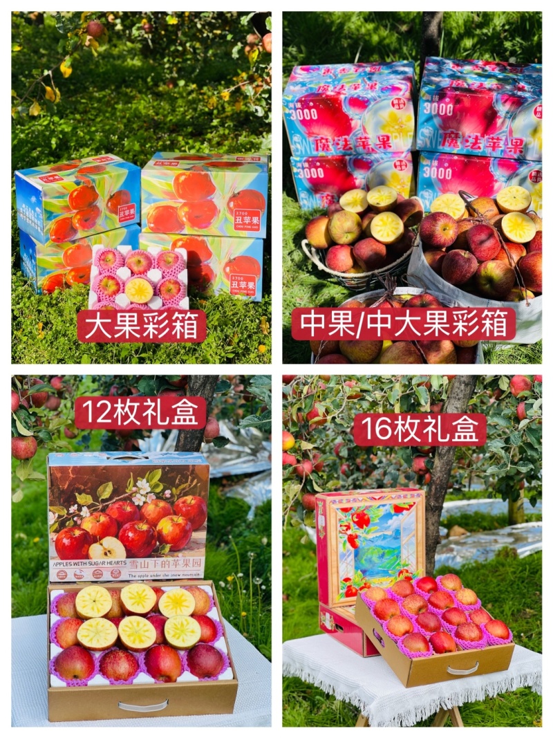 2025季正宗冰糖心丑苹果开始发货高糖心17-20甜度！