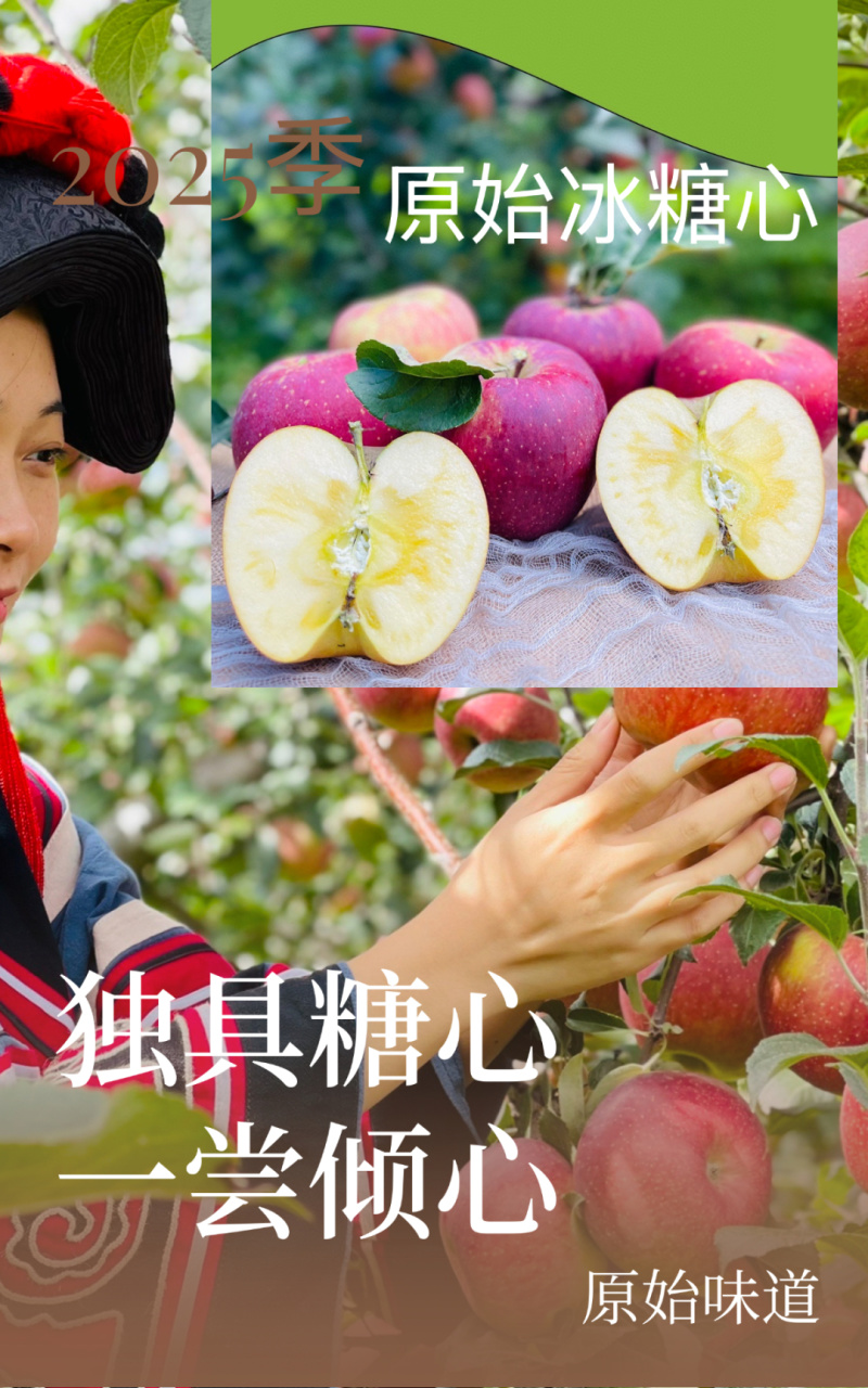 2025季正宗冰糖心丑苹果开始发货高糖心17-20甜度！