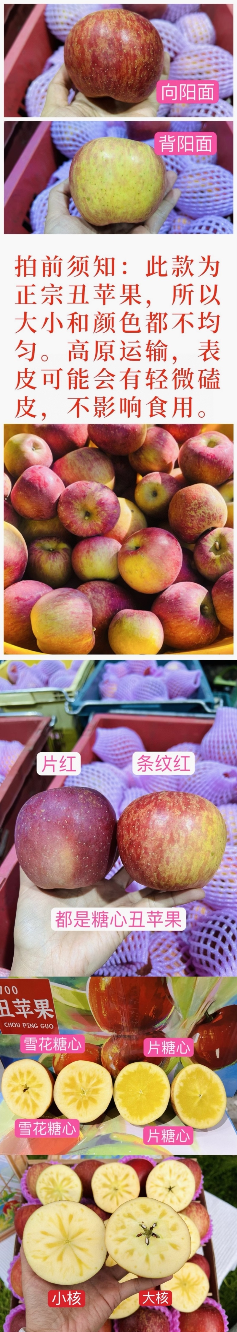 2025季正宗冰糖心丑苹果开始发货高糖心17-20甜度！