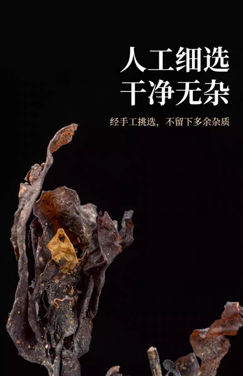 包邮）优质中药材海藻大叶海藻海藻大蒿子海根菜