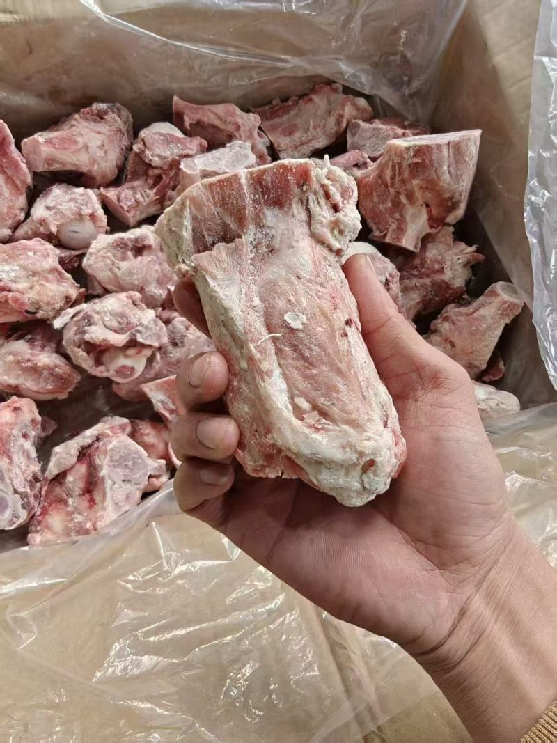 多肉猪腿骨块