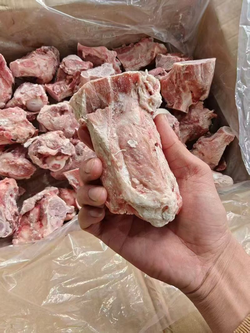 多肉猪腿骨块