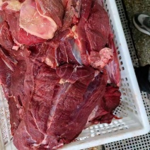 牛肉牛前腿牛后腿/标价就是实阶