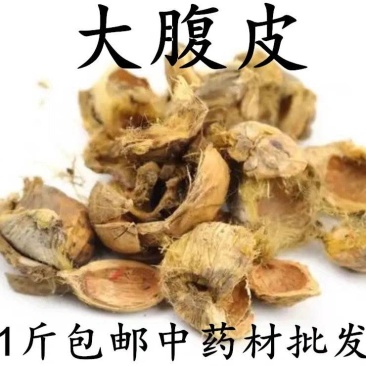 包邮）大腹皮500克中药材槟榔皮干新货大腹毛茯毛槟榔壳