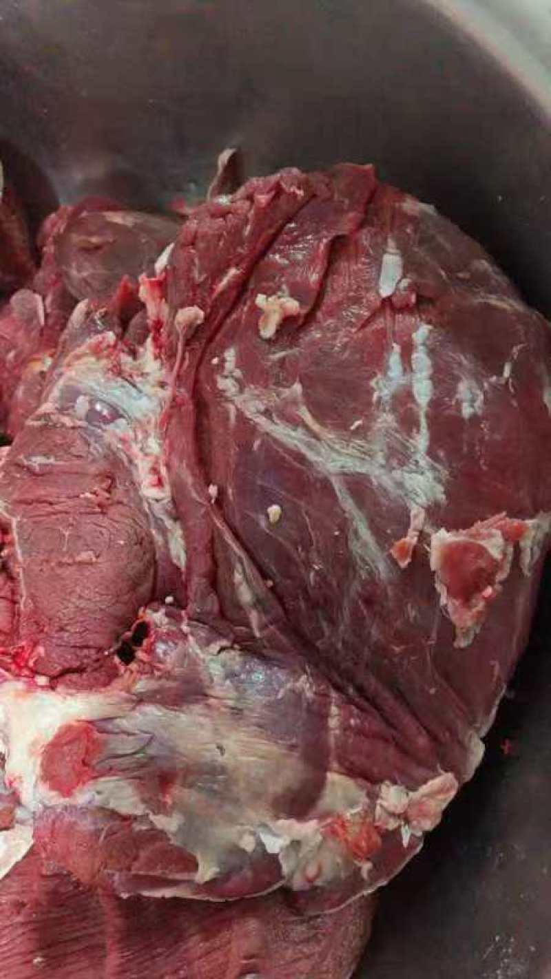 牛肉牛前腿牛后腿/标价就是实阶