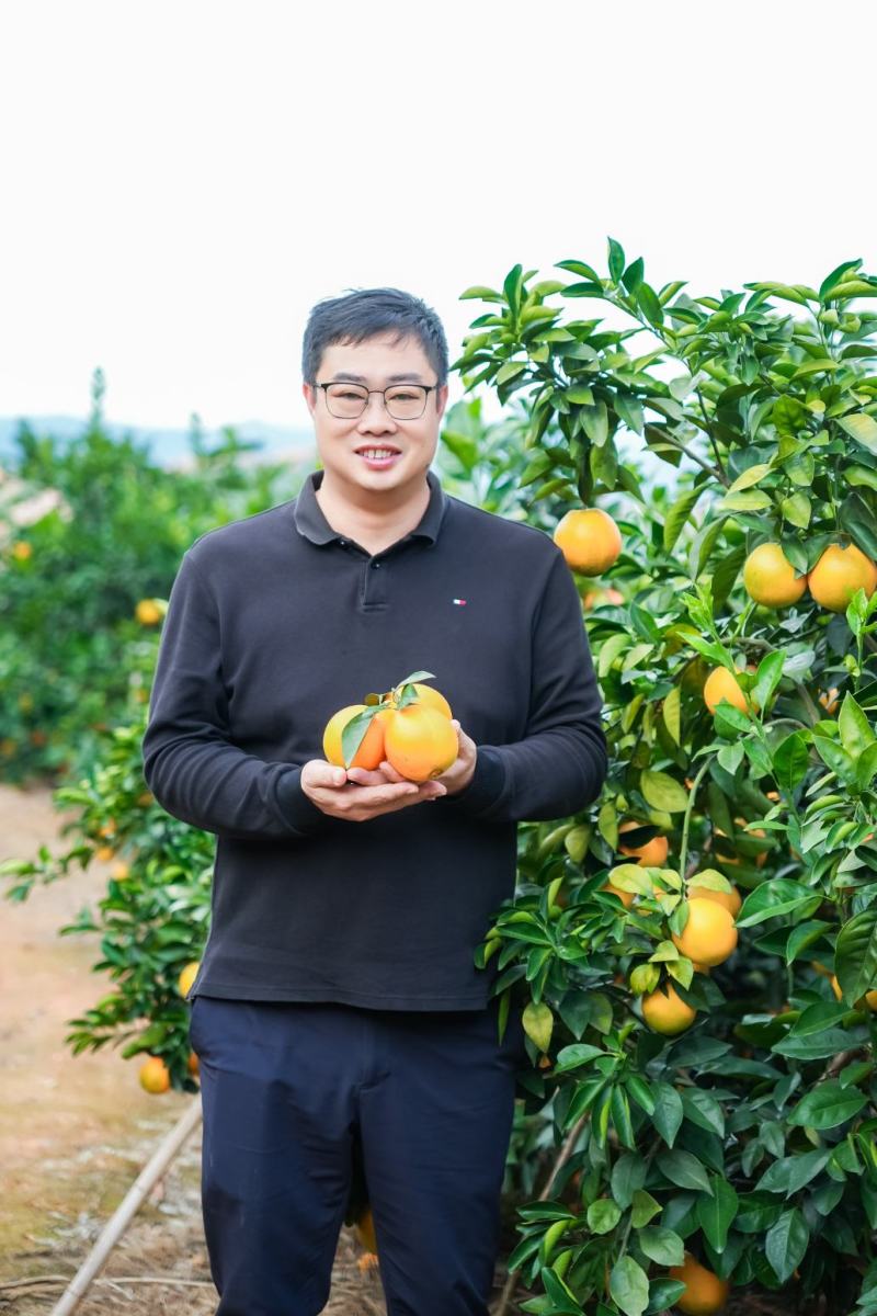 自家选果机，千亩脐橙，满足各类采购