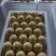 精品人生果，量大从优