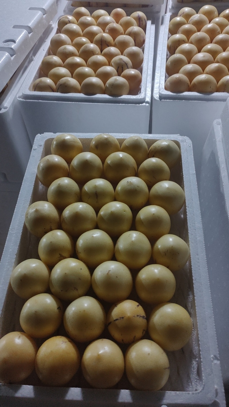 精品人生果，量大从优