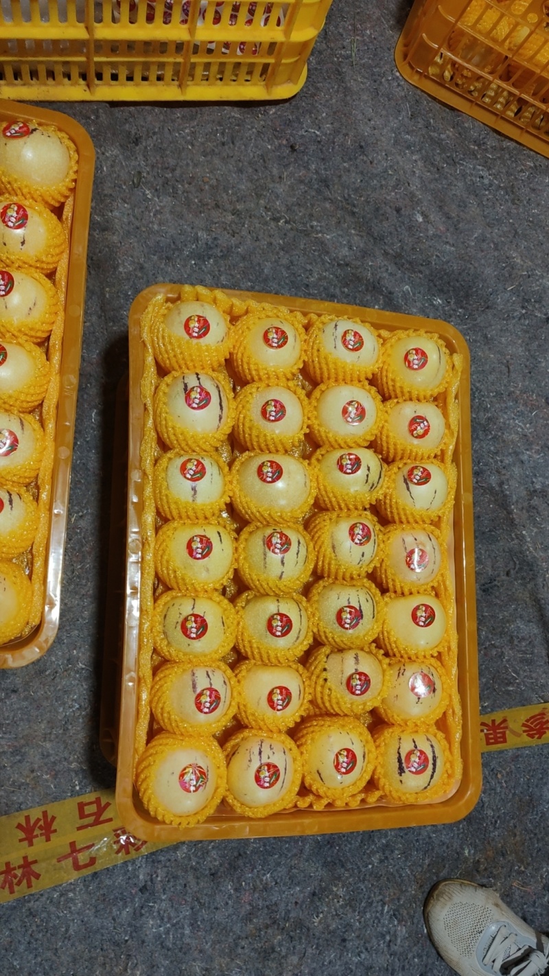 精品人生果，量大从优