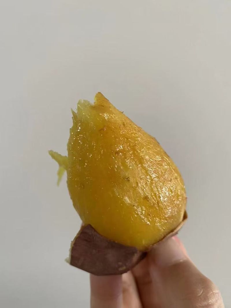 云南榴莲蜜薯产地直发