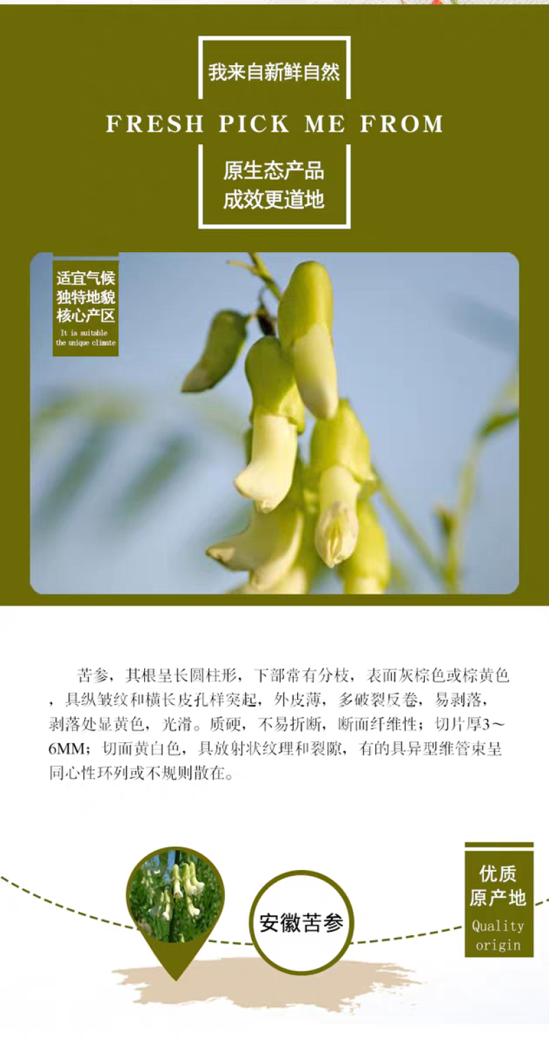 包邮）中药材苦参片苦参根苦参根苦骨牛参500克