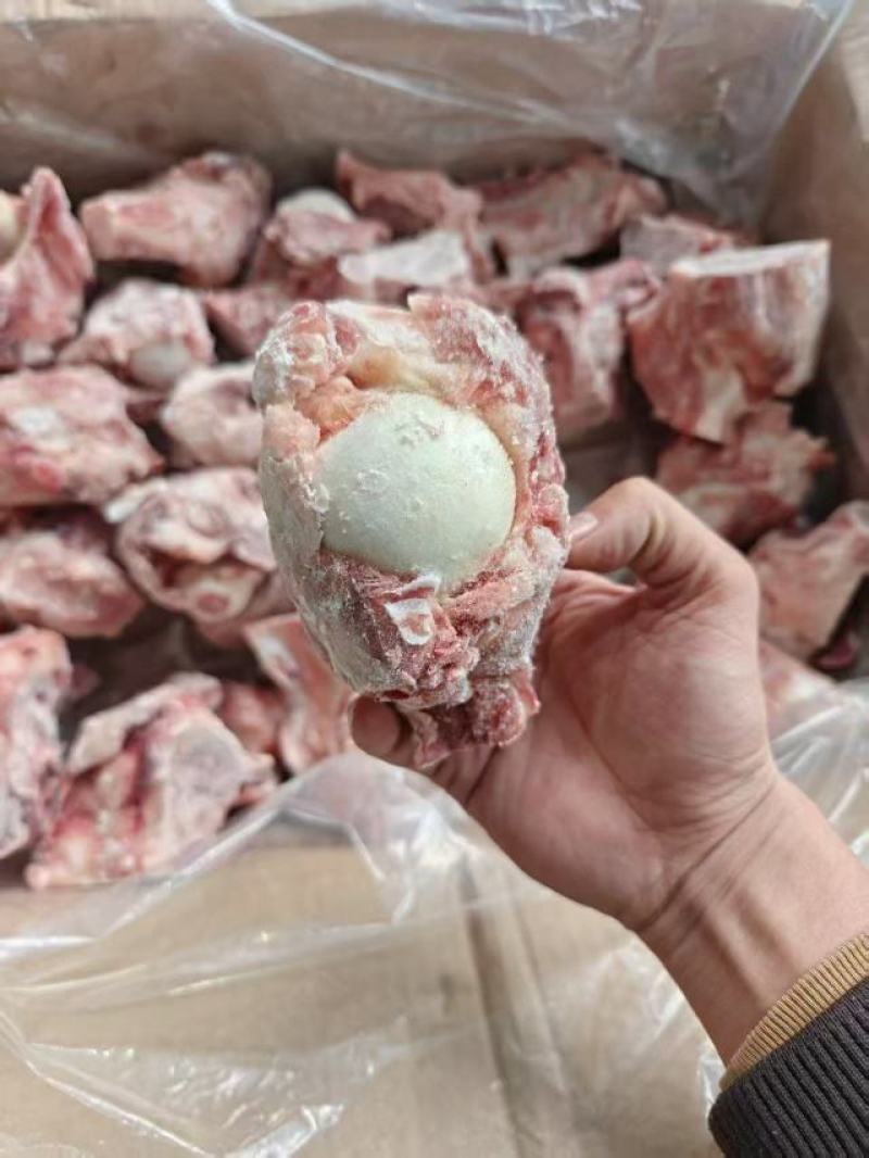 多肉猪腿骨块