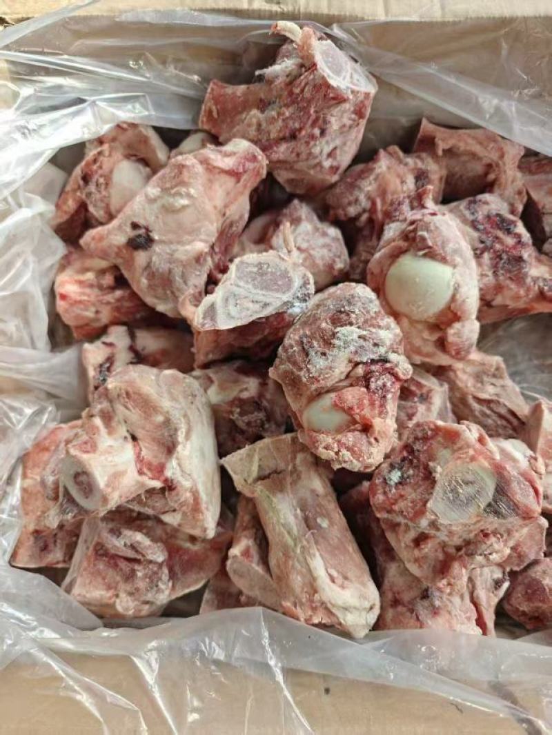 多肉猪腿骨块