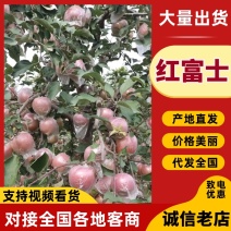 冰糖心红富士苹果大量现货，自家一手货源，果肉黄肉果行端正
