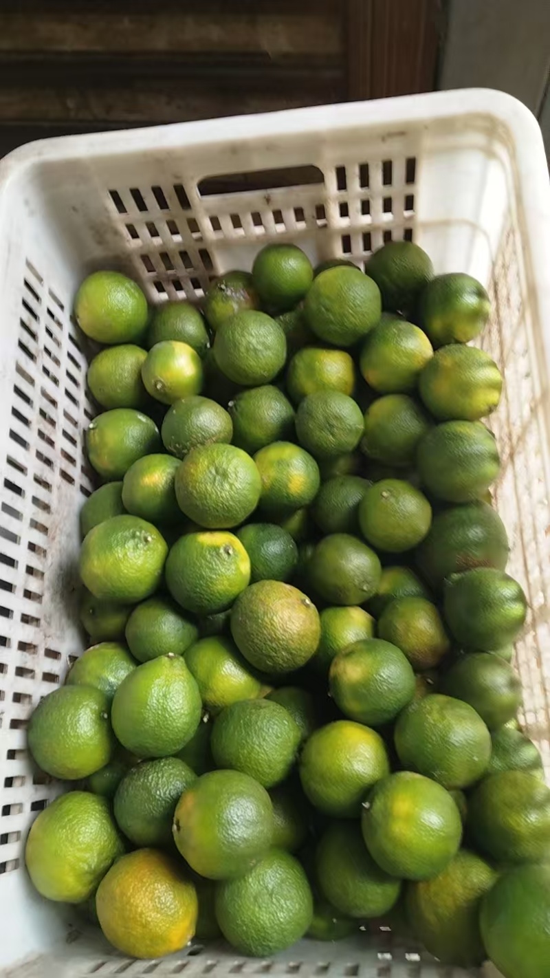 越南老品种青柠檬，榨汁果