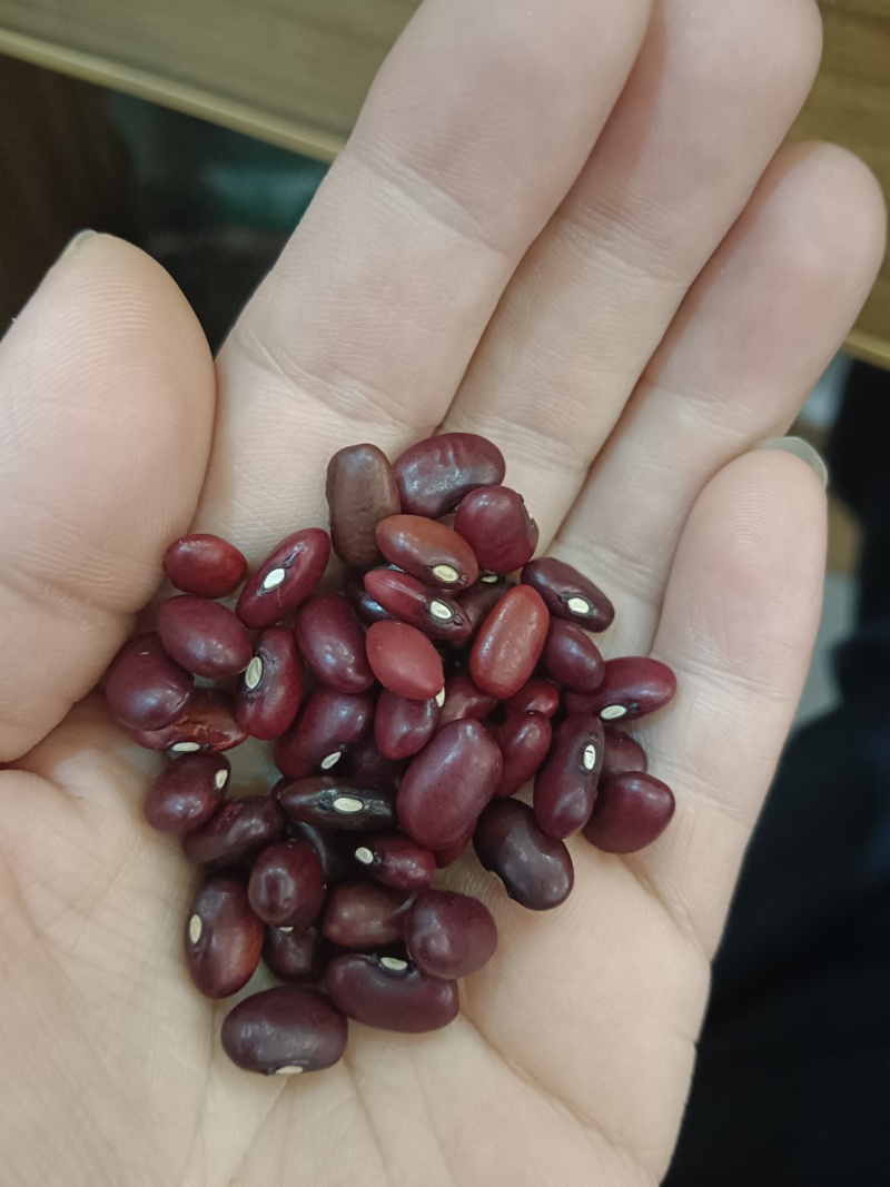海华农产品小粒紫芸豆