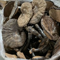 黑灵芝【包邮】三斤起发货可批量可零售量大从优