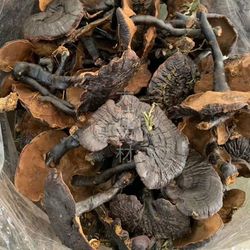 黑灵芝【包邮】三斤起发货可批量可零售量大从优