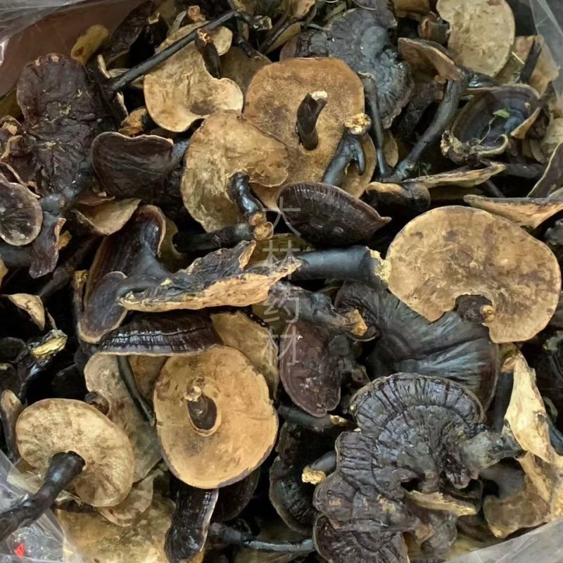 黑灵芝【包邮】三斤起发货可批量可零售量大从优