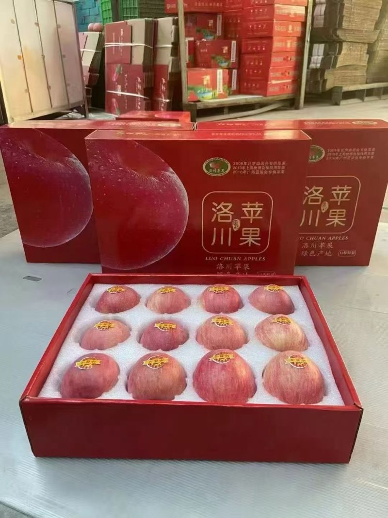 家人们！咱陕西洛川的红富士苹果，今天刚从果园摘下来，一口