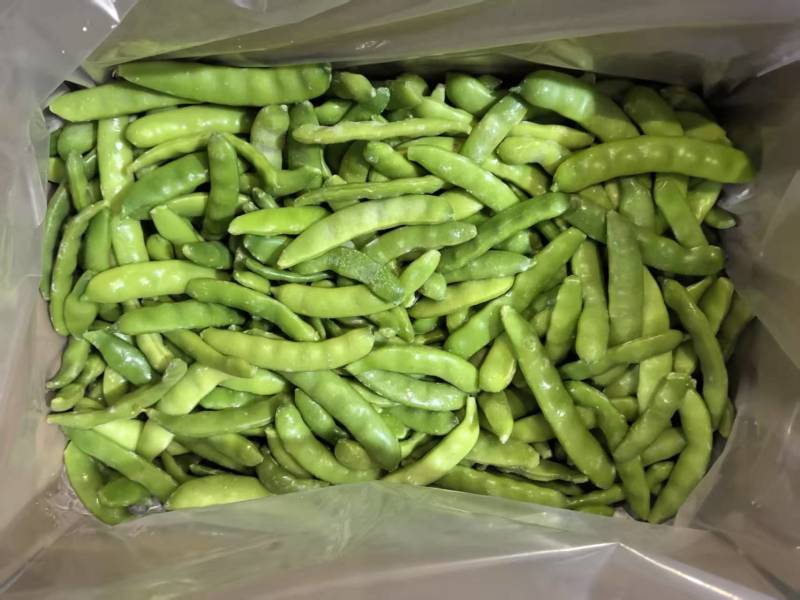 速冻油豆角保质保量对接全国市场量大从优欢迎咨询