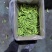 速冻油豆角保质保量对接全国市场量大从优欢迎咨询
