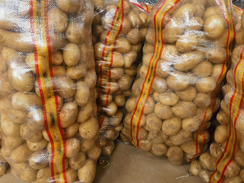 小土豆