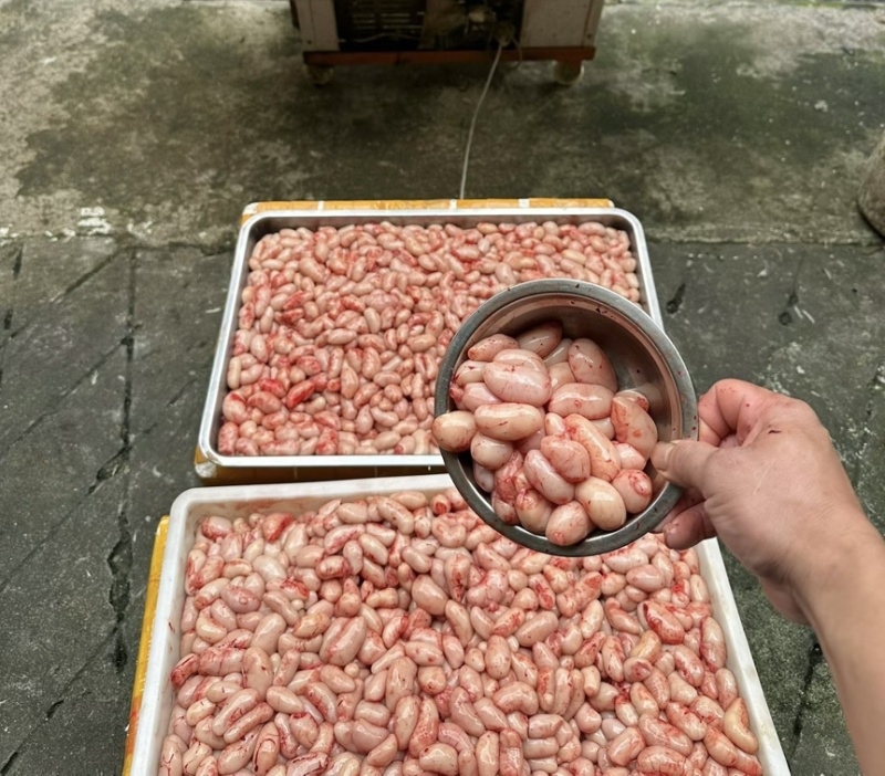 新鲜公鸡蛋批发零售￼规格大号中号小号