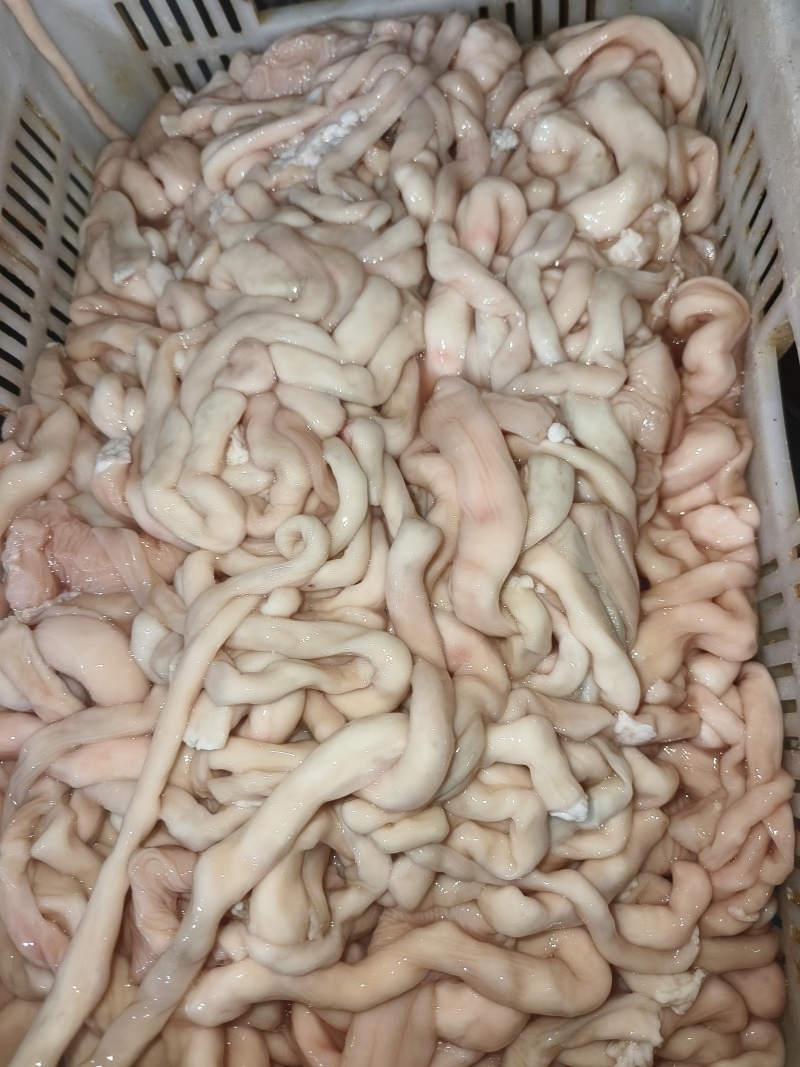 熟羊肠