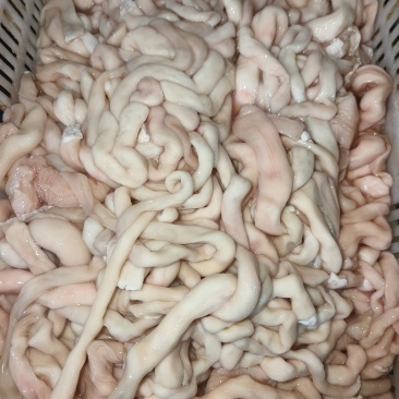 熟羊肠