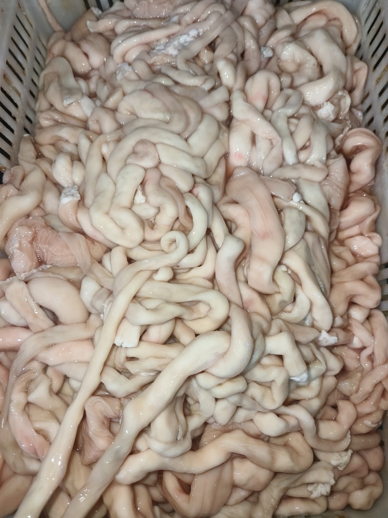 熟羊肠