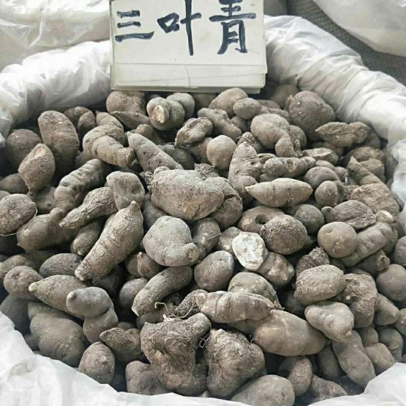 中药材三叶青，规格齐全，大货供应。可批发，可供电商采购一