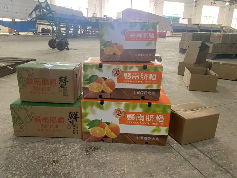 赣南脐橙全国一件代发价格美丽