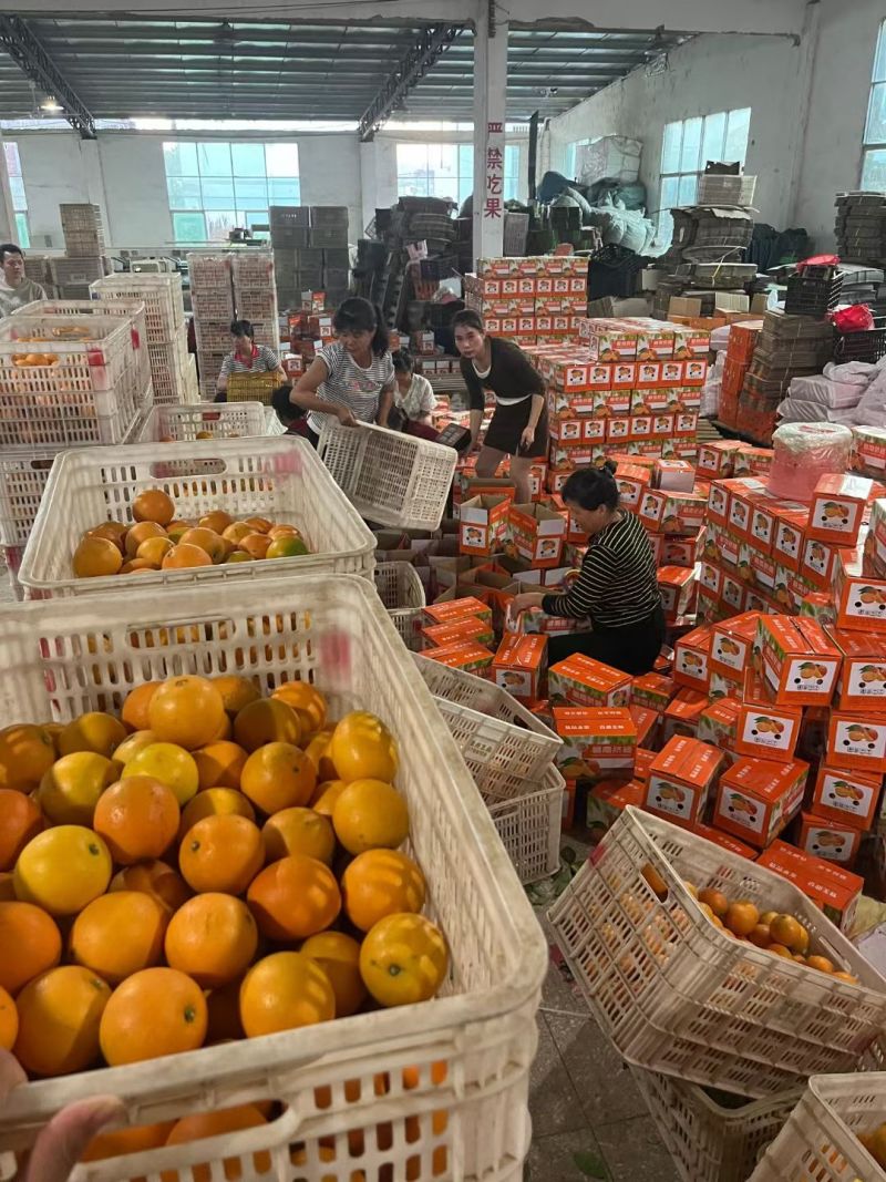 赣南脐橙全国一件代发价格美丽
