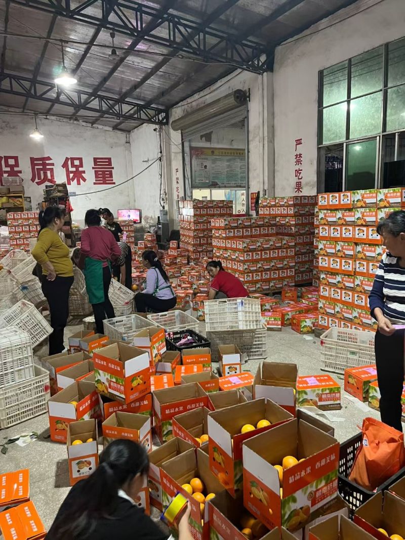 赣南脐橙全国一件代发价格美丽