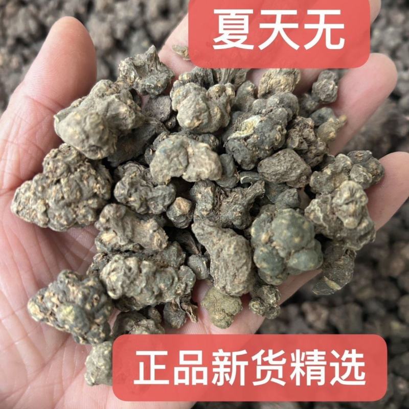 夏天无冷背中药材新货正宗精选夏天无康养斋中药材