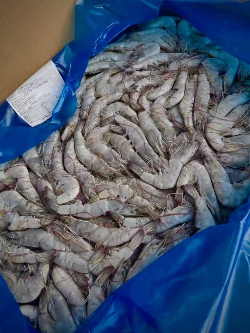 南美白对虾20-80规格有信欧玛莎卡玛盐水冻