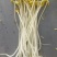 重庆批发豆芽黄豆芽绿豆芽