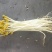 重庆批发豆芽黄豆芽绿豆芽