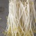 重庆批发豆芽黄豆芽绿豆芽