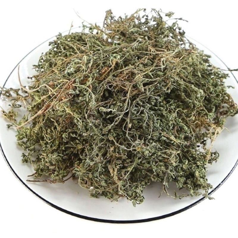鹅不食草批发中药材鹅不食草正品无硫新货鹅不食草