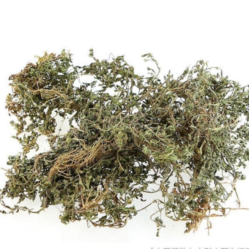 鹅不食草批发中药材鹅不食草正品无硫新货鹅不食草