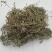 鹅不食草批发中药材鹅不食草正品无硫新货鹅不食草