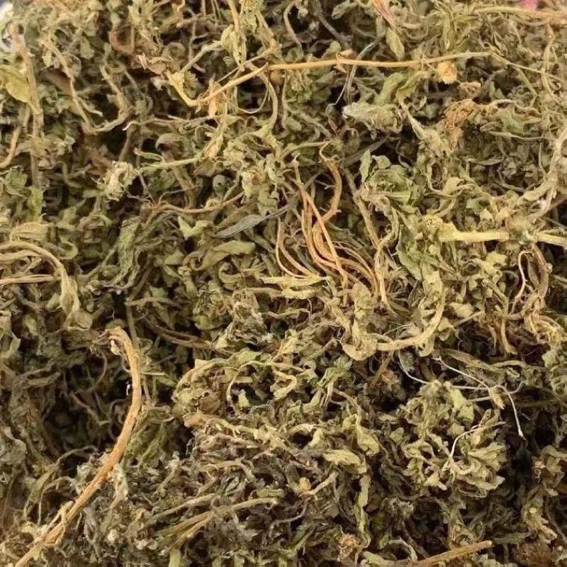 鹅不食草批发中药材鹅不食草正品无硫新货鹅不食草