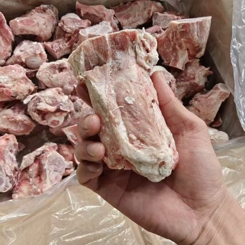 多肉猪腿骨块