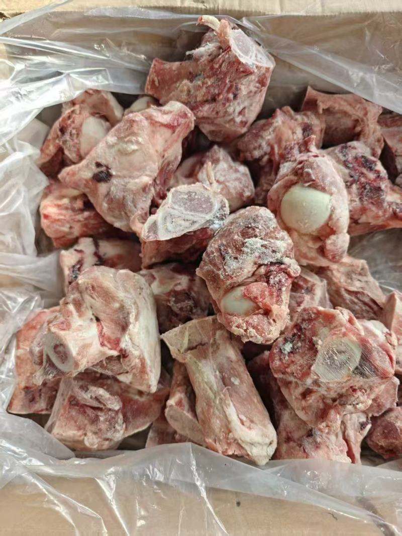 多肉猪腿骨块