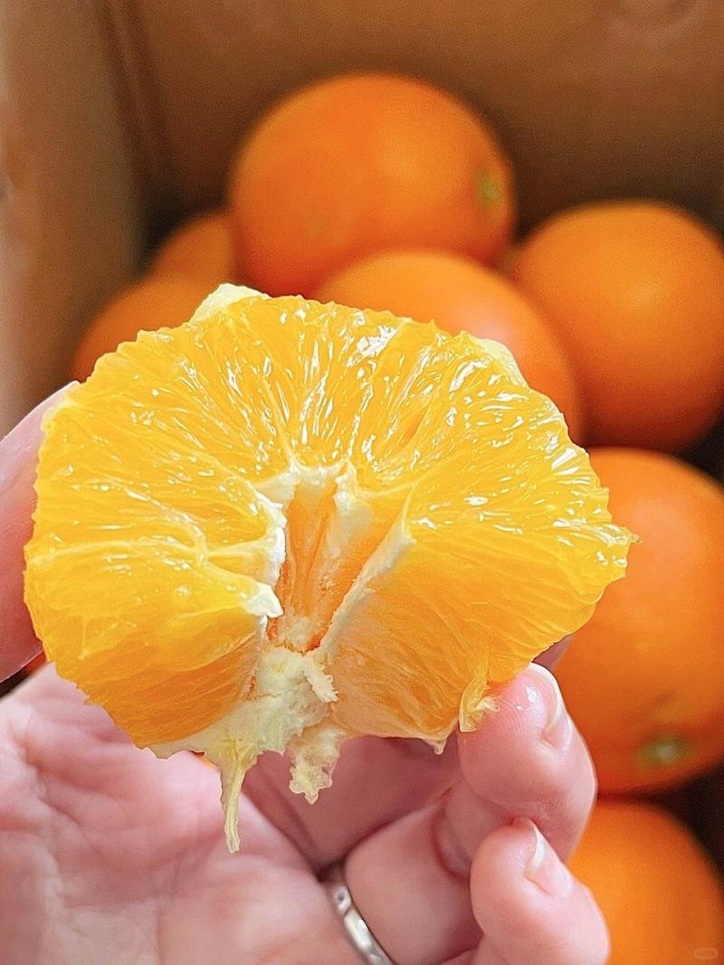 《实力》湖南纽荷尔脐橙大量上市，发全国一件代发品质保证
